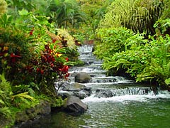 Costa Rica Arenal Dont Miss Out!